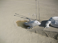 Intelligent Design by wizzard for burning man 2006