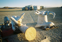 Intelligent Design by wizzard for burning man 2006