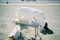 Intelligent Design by wizzard for burning man 2006