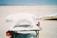 Intelligent Design by wizzard for burning man 2006