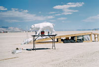 Intelligent Design by wizzard for burning man 2006