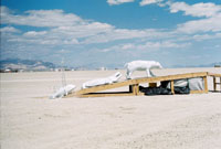 Intelligent Design by wizzard for burning man 2006